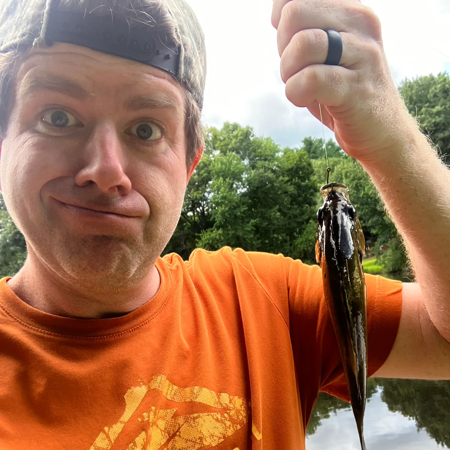 Bluegill caught on Fishbrain