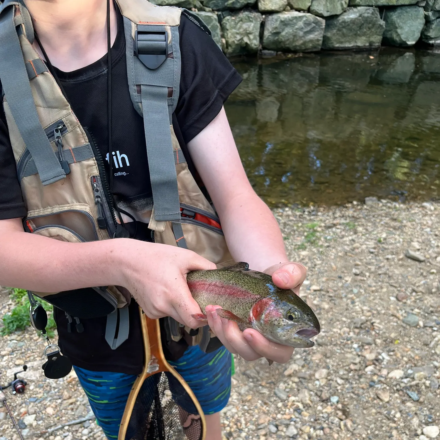 Rainbow trout caught on Fishbrain