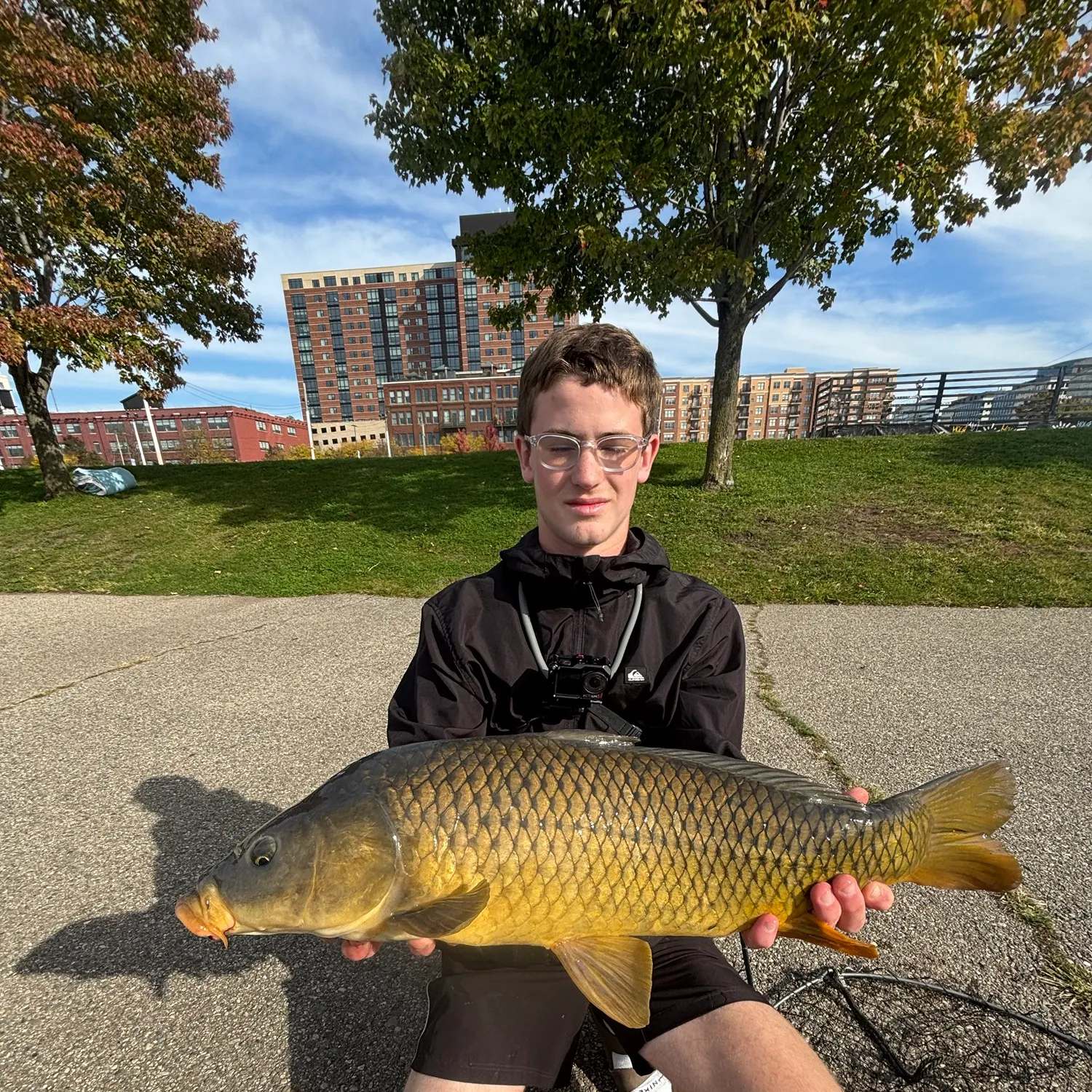 Common carp caught on Fishbrain
