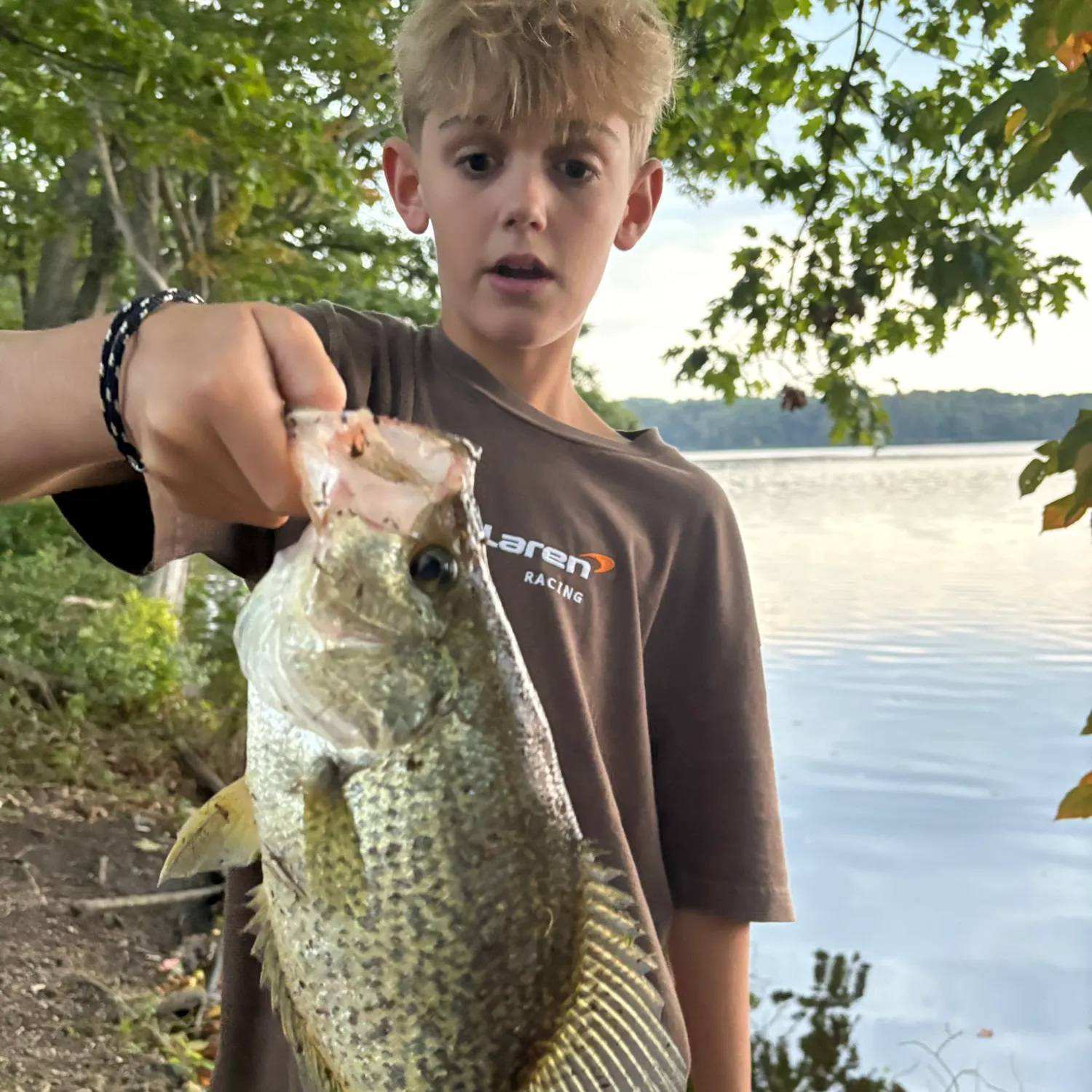 Black crappie caught on Fishbrain