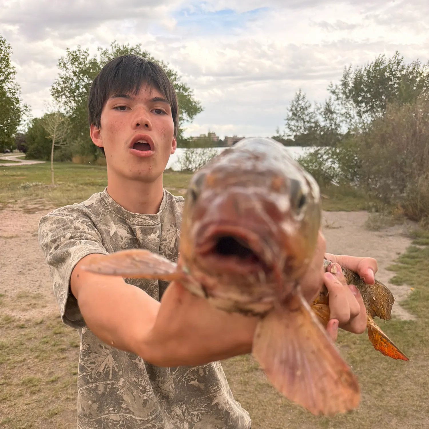 Common carp caught on Fishbrain