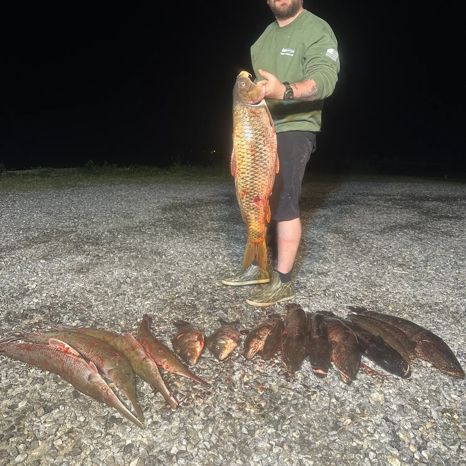 recently logged catches