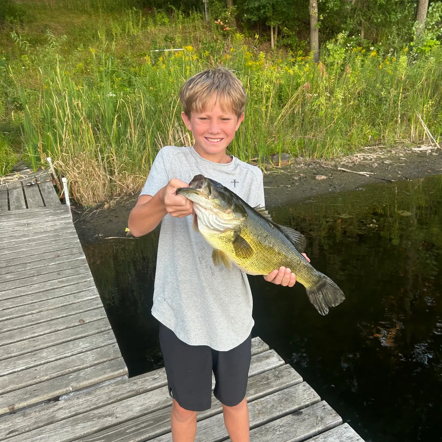 Largemouth bass caught on Fishbrain