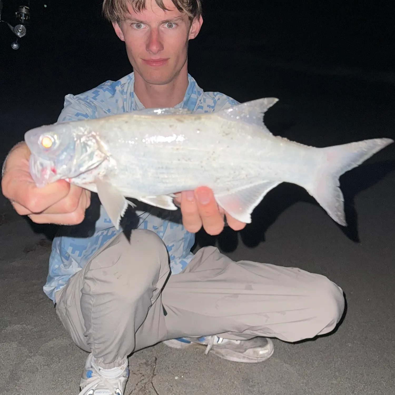 The most recent Atlantic threadfin catches on Fishbrain