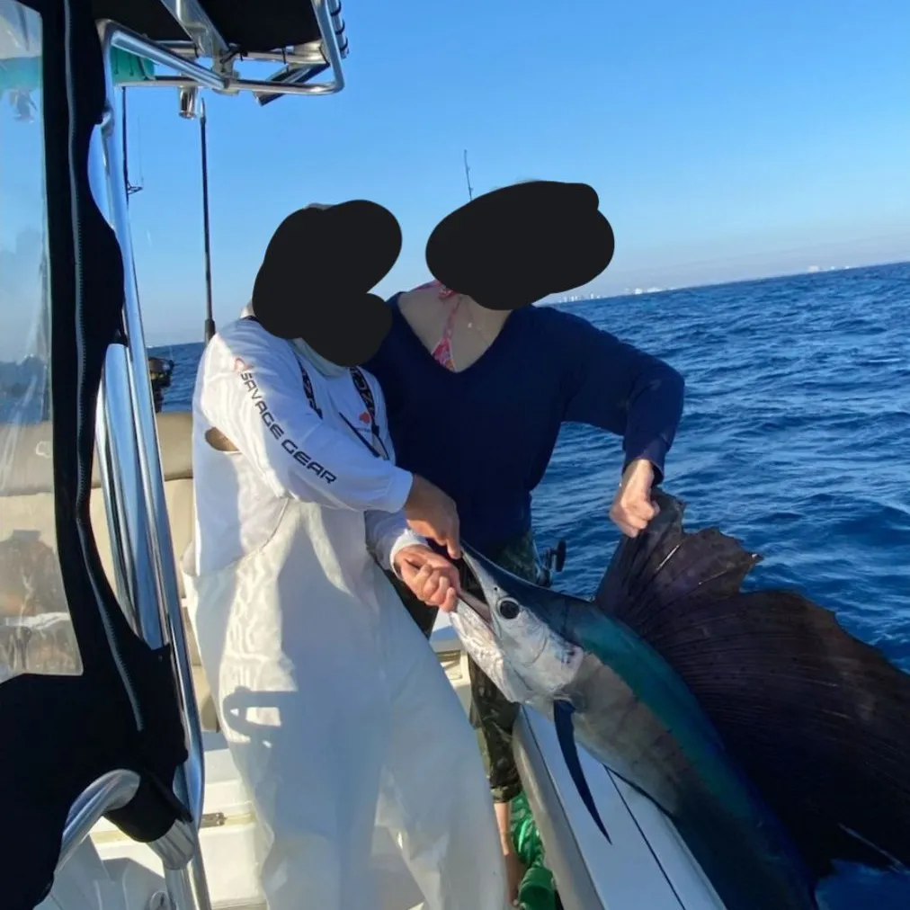 most liked catch image