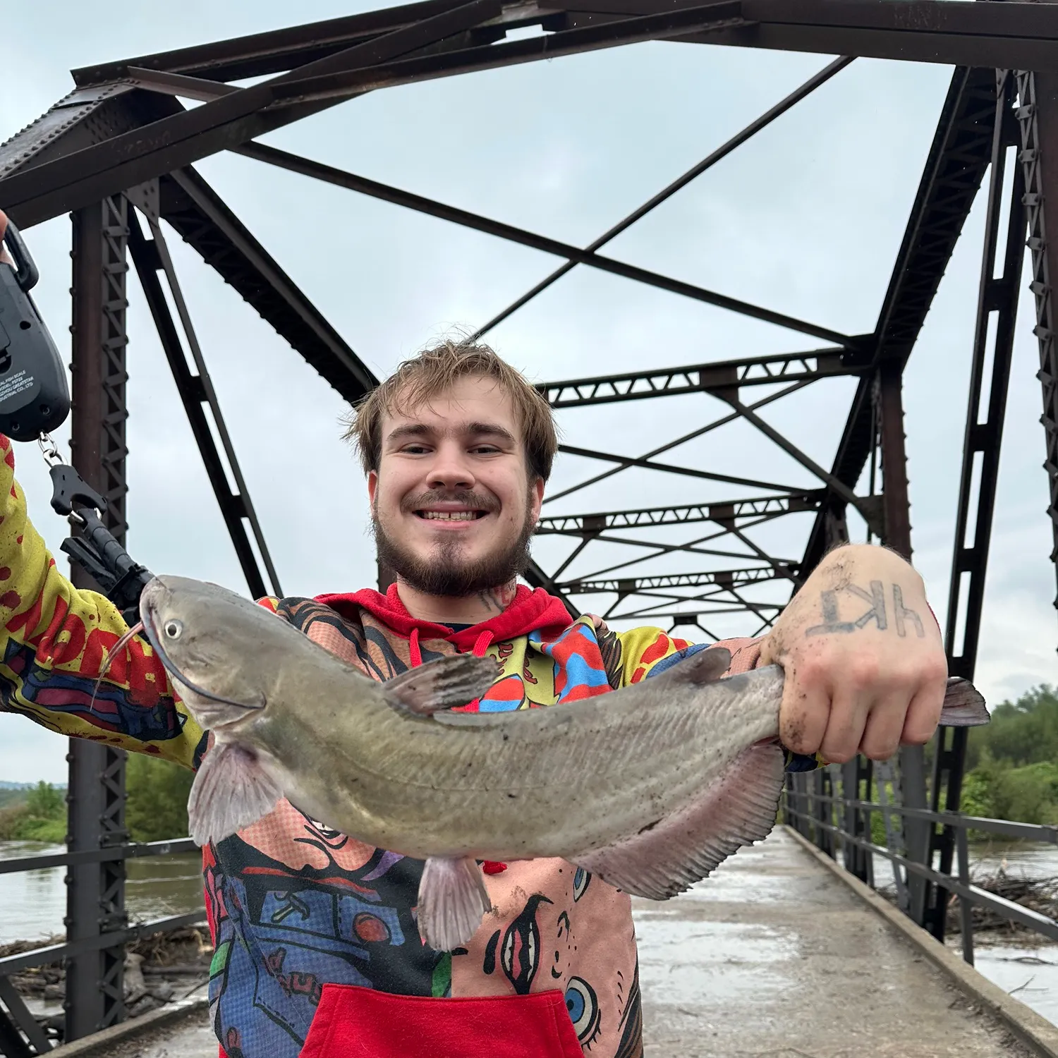 Channel catfish caught on Fishbrain