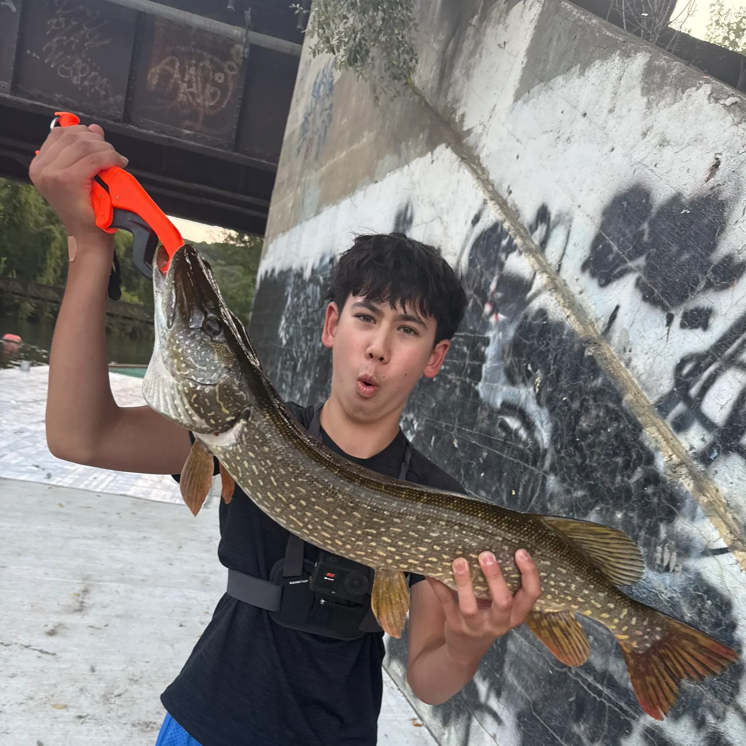 catch