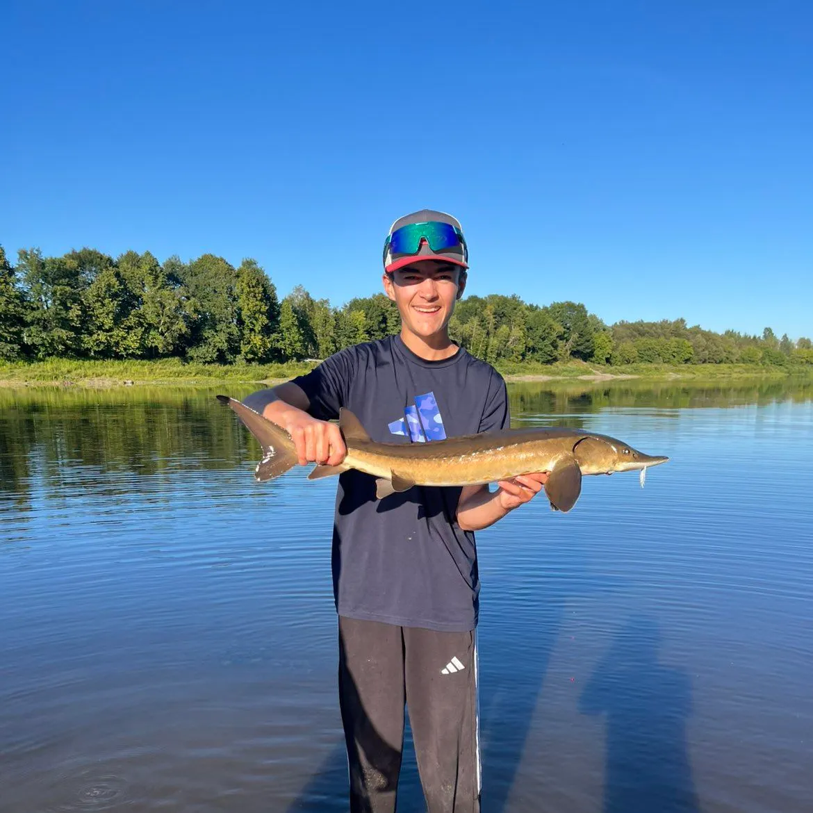 Lake sturgeon caught on Fishbrain
