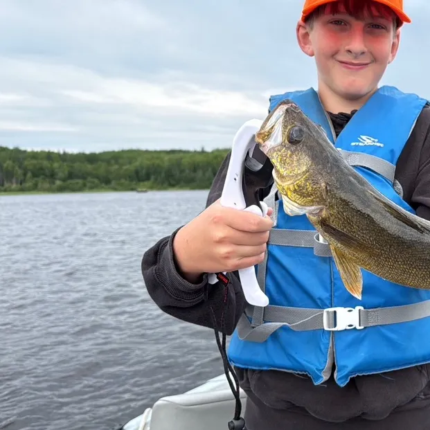 The most recent Walleye catches on Fishbrain