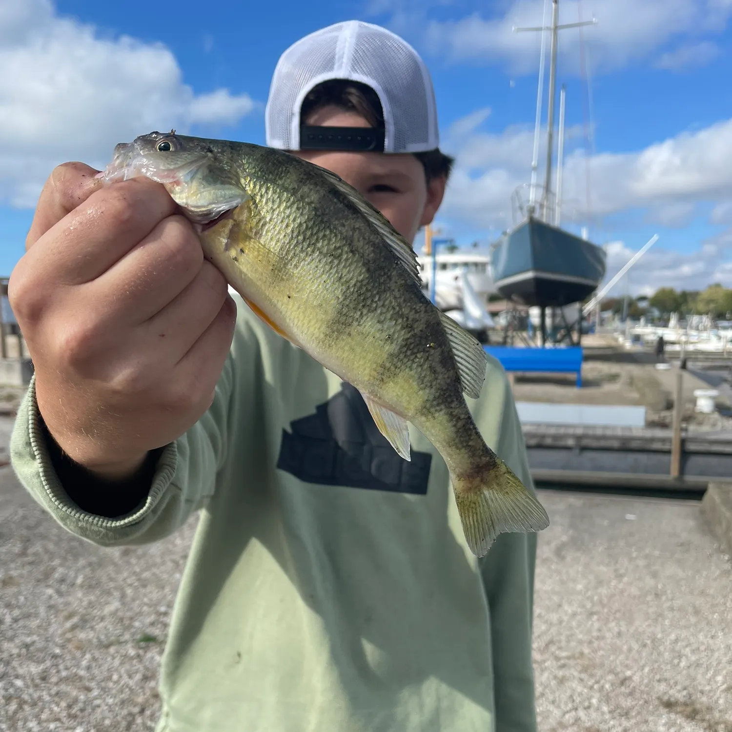 catch
