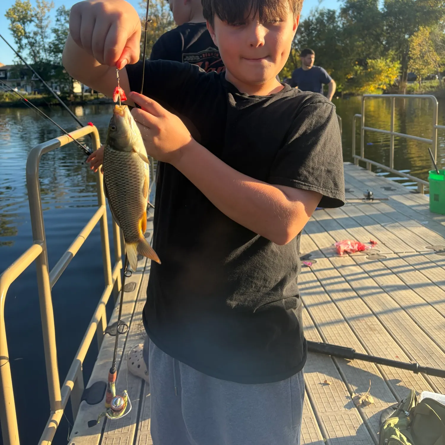 Common carp caught on Fishbrain