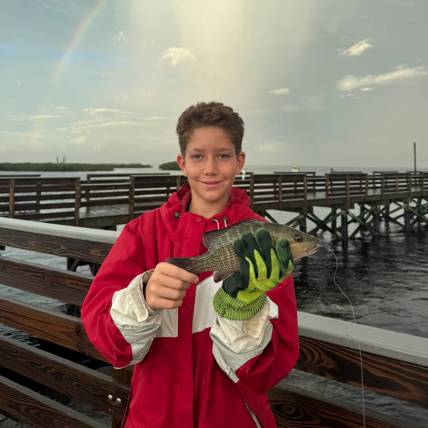 Mangrove snapper caught on Fishbrain