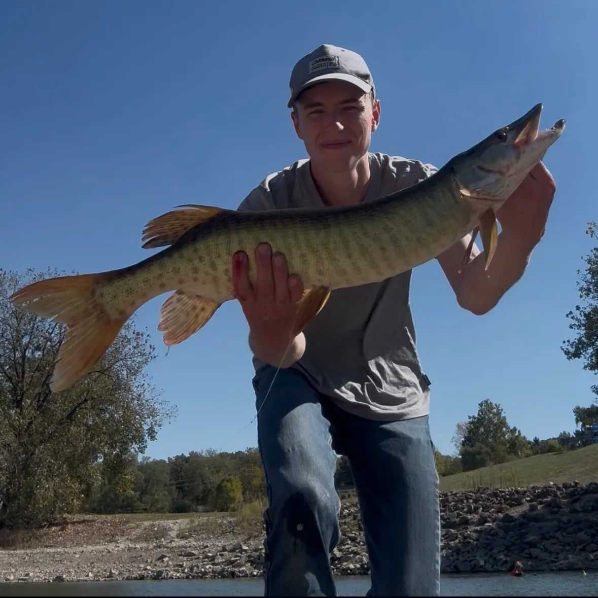 Muskie caught on Fishbrain