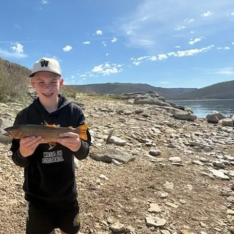 The most recent Bear River cutthroat trout catches on Fishbrain