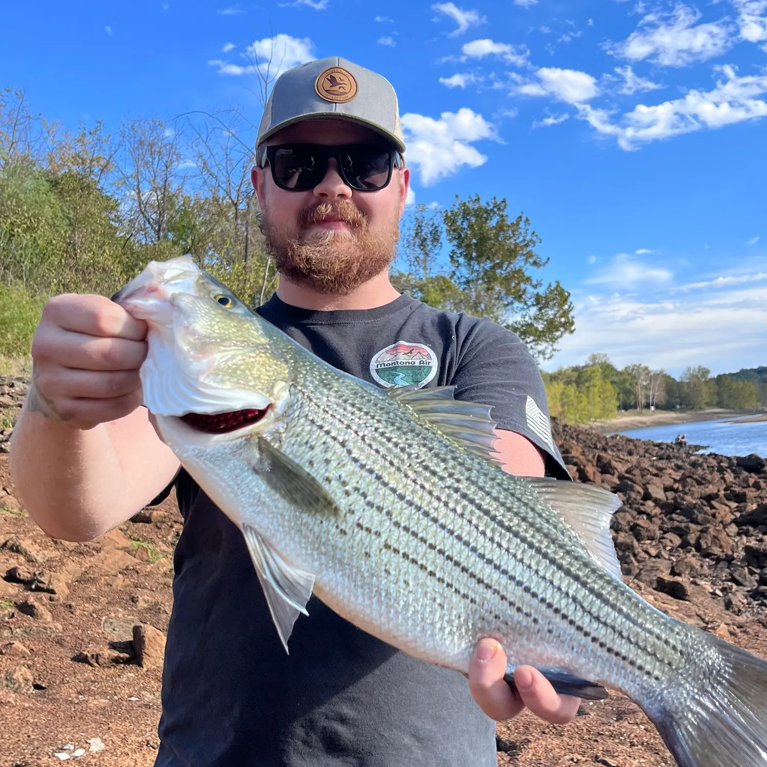 Wiper caught on Fishbrain