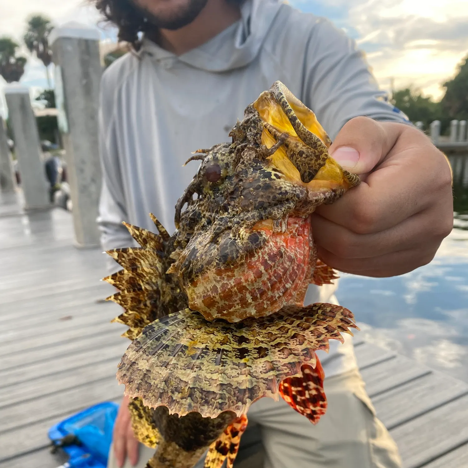 The most recent Spotted scorpionfish catches on Fishbrain