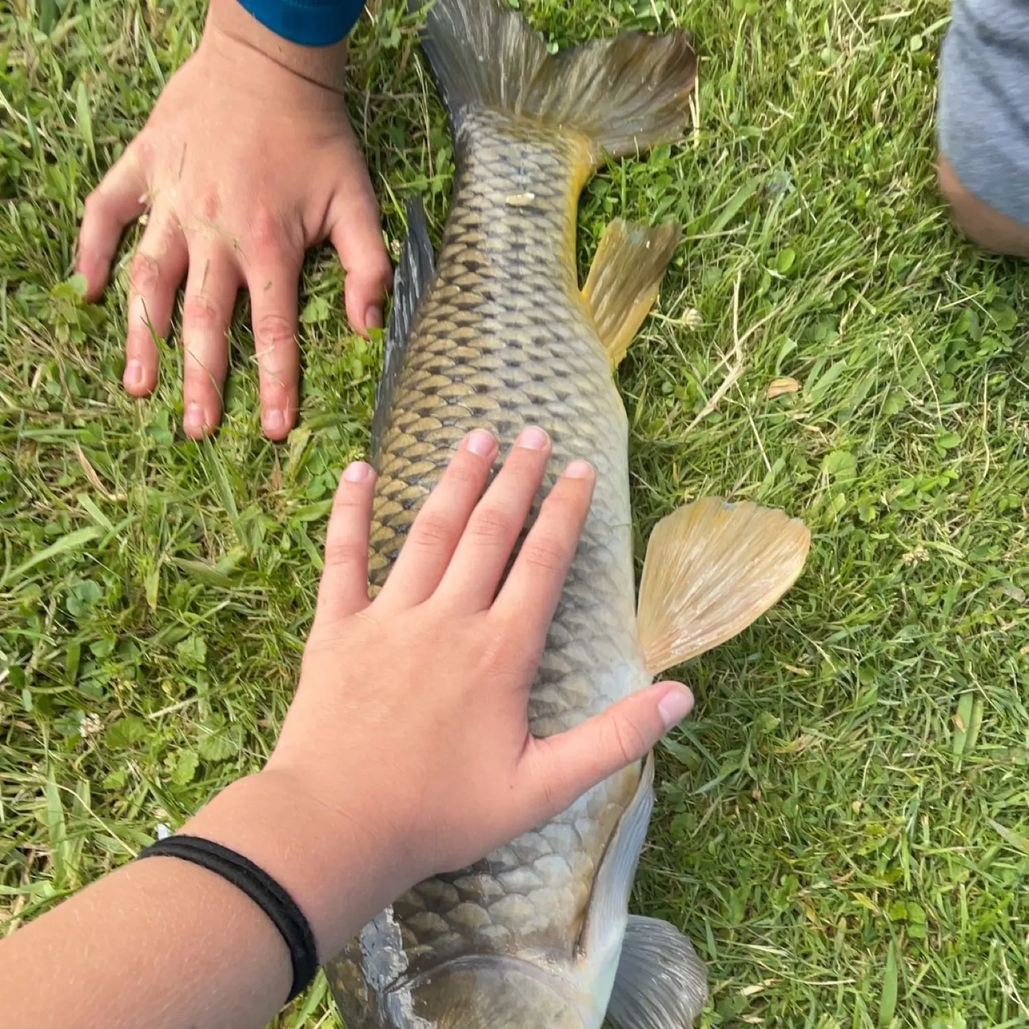 angler catch