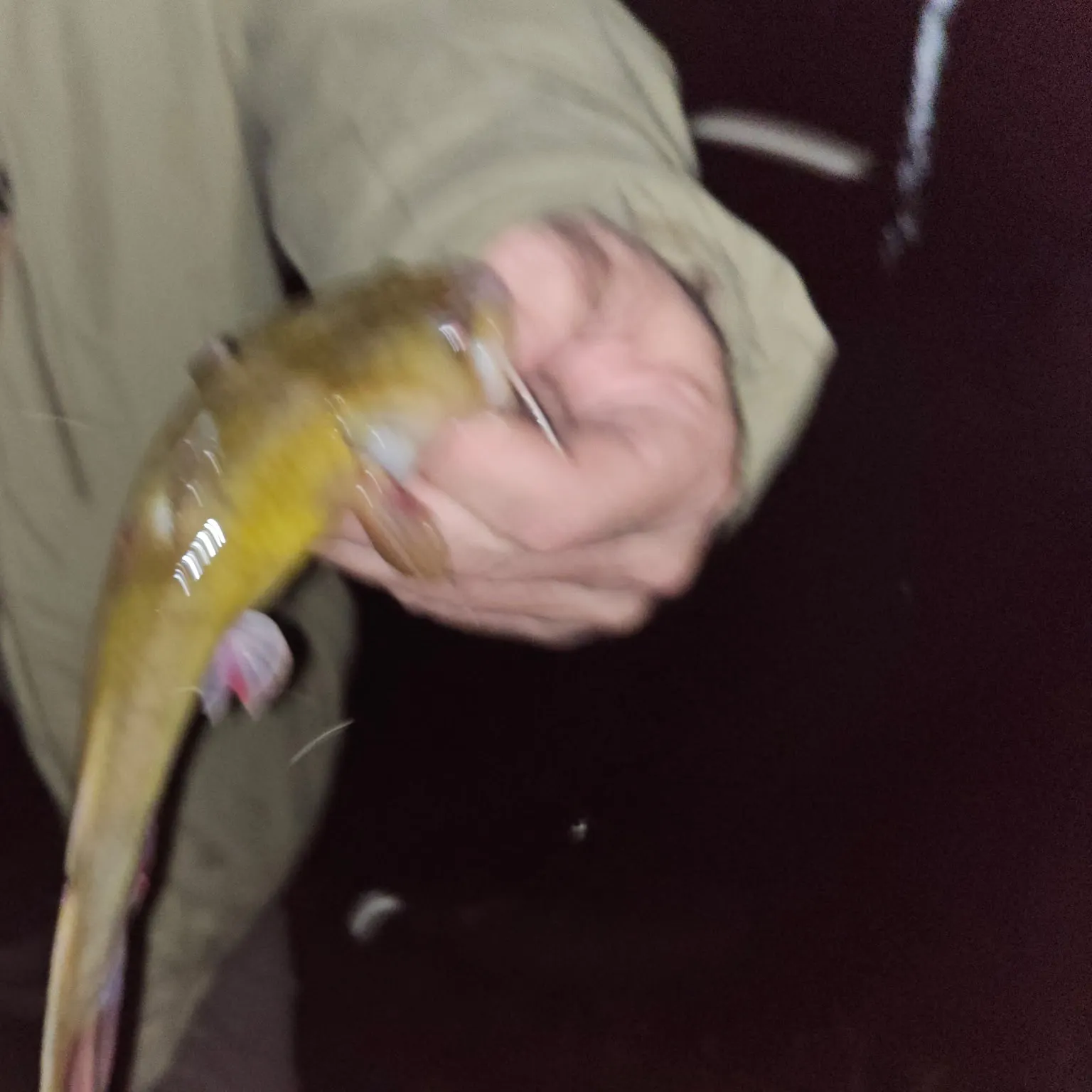 most liked catch image