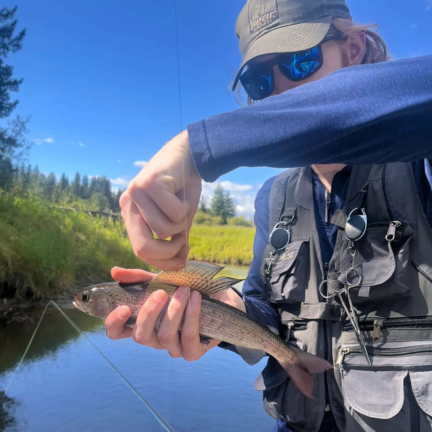 European grayling caught on Fishbrain