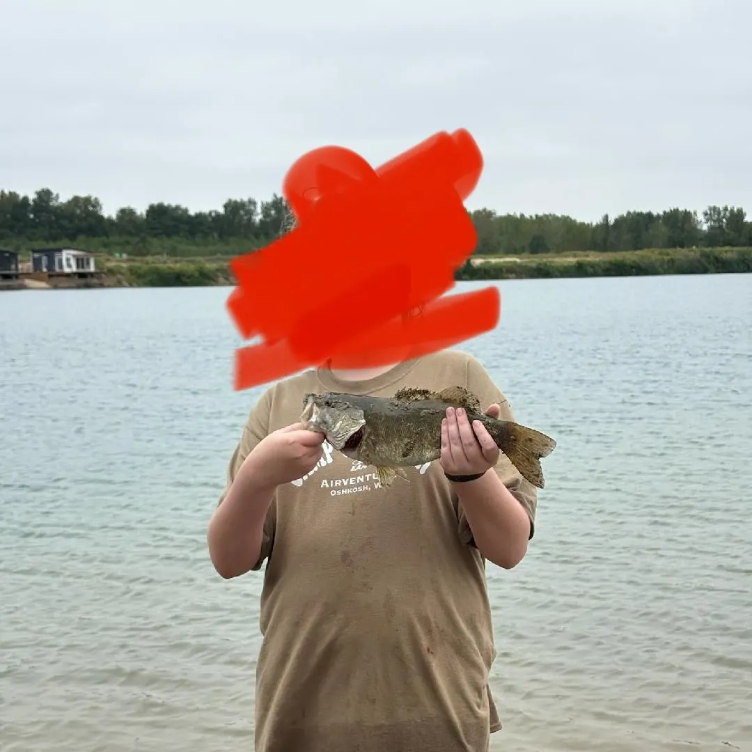 Smallmouth bass caught on Fishbrain