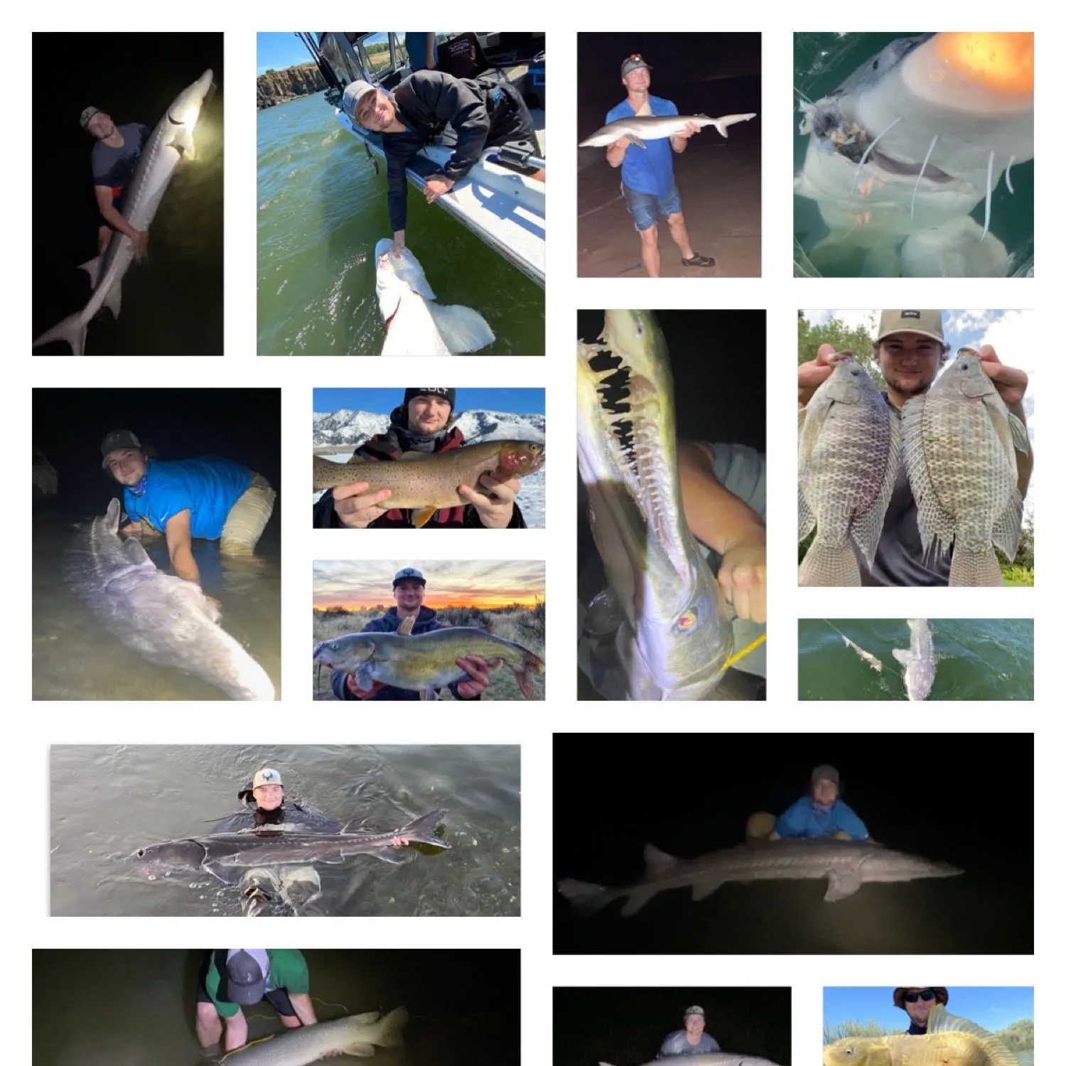 recently logged catches