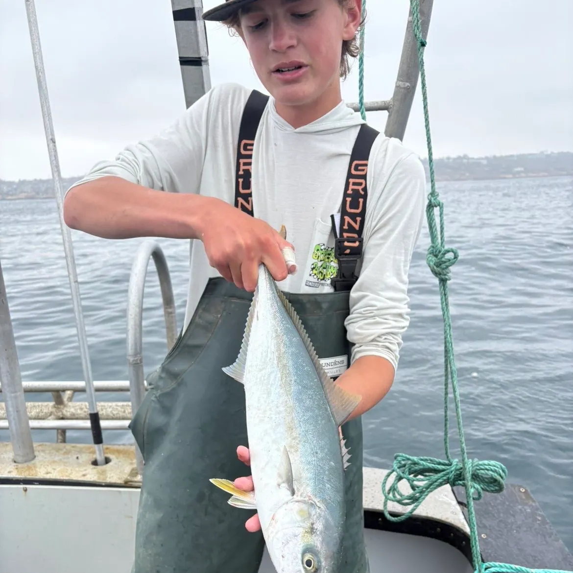The most recent California yellowtail amberjack catches on Fishbrain
