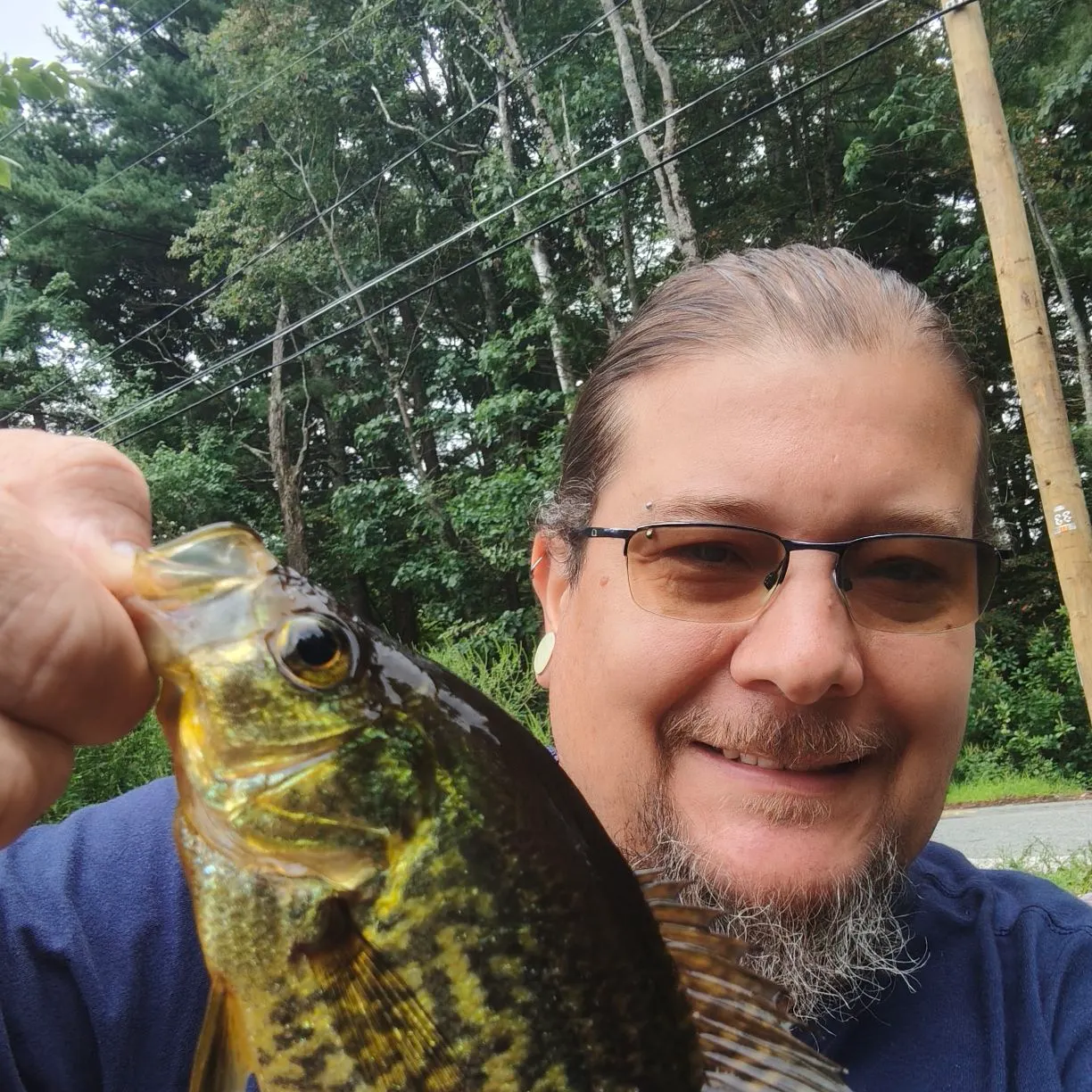 Black crappie caught on Fishbrain
