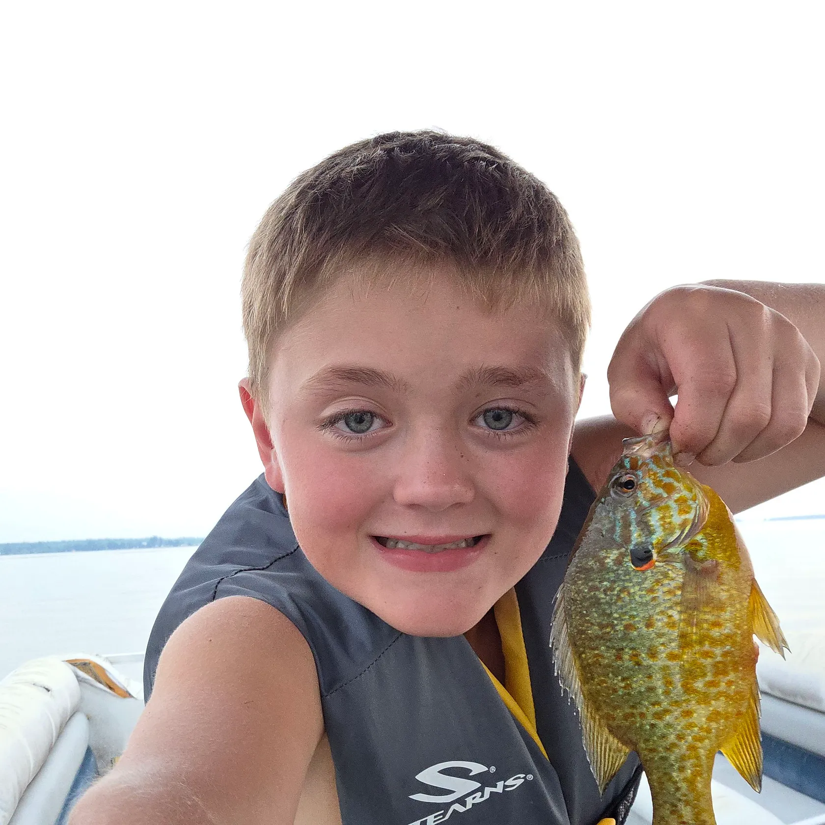 The most recent Pumpkinseed catches on Fishbrain