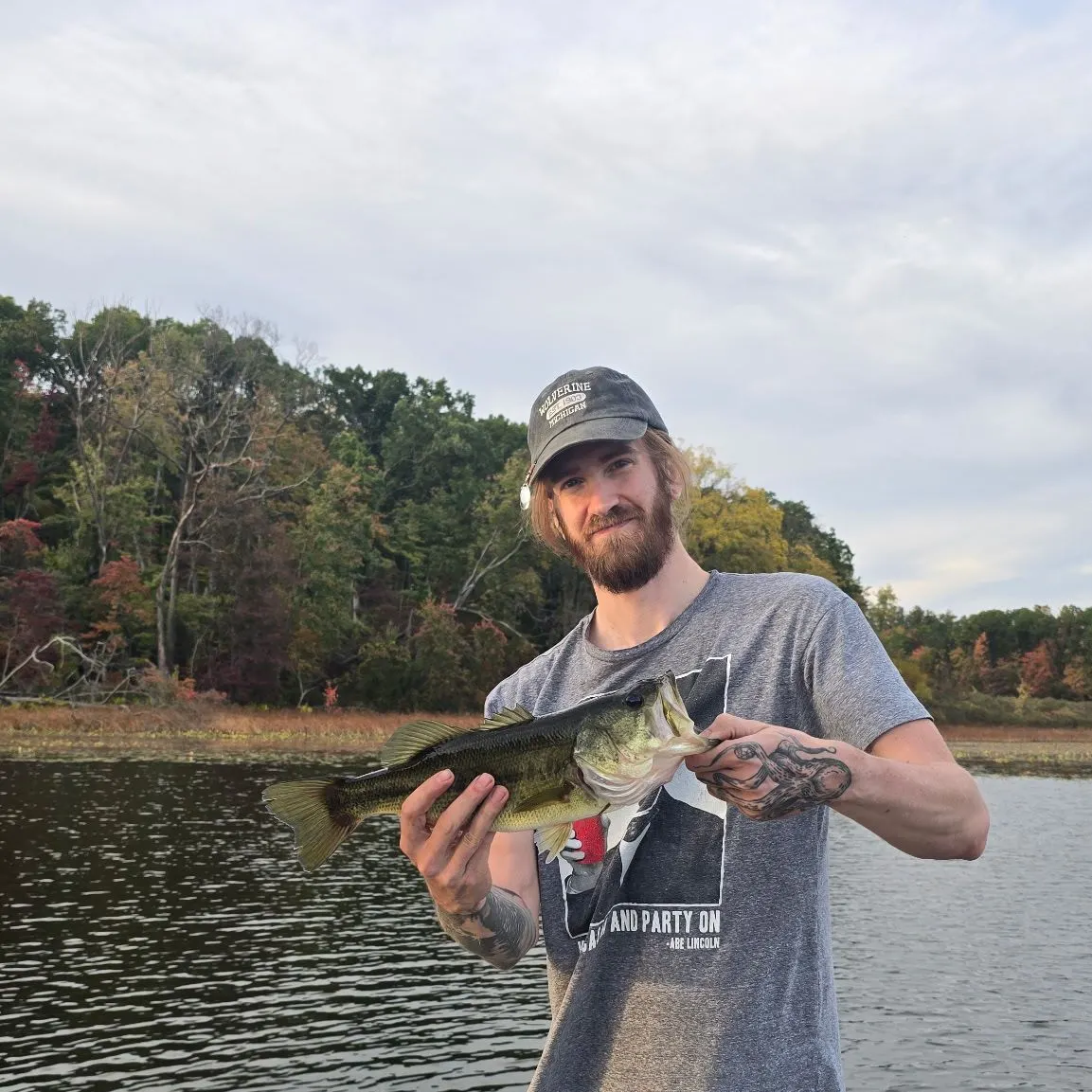 Largemouth bass caught on Fishbrain