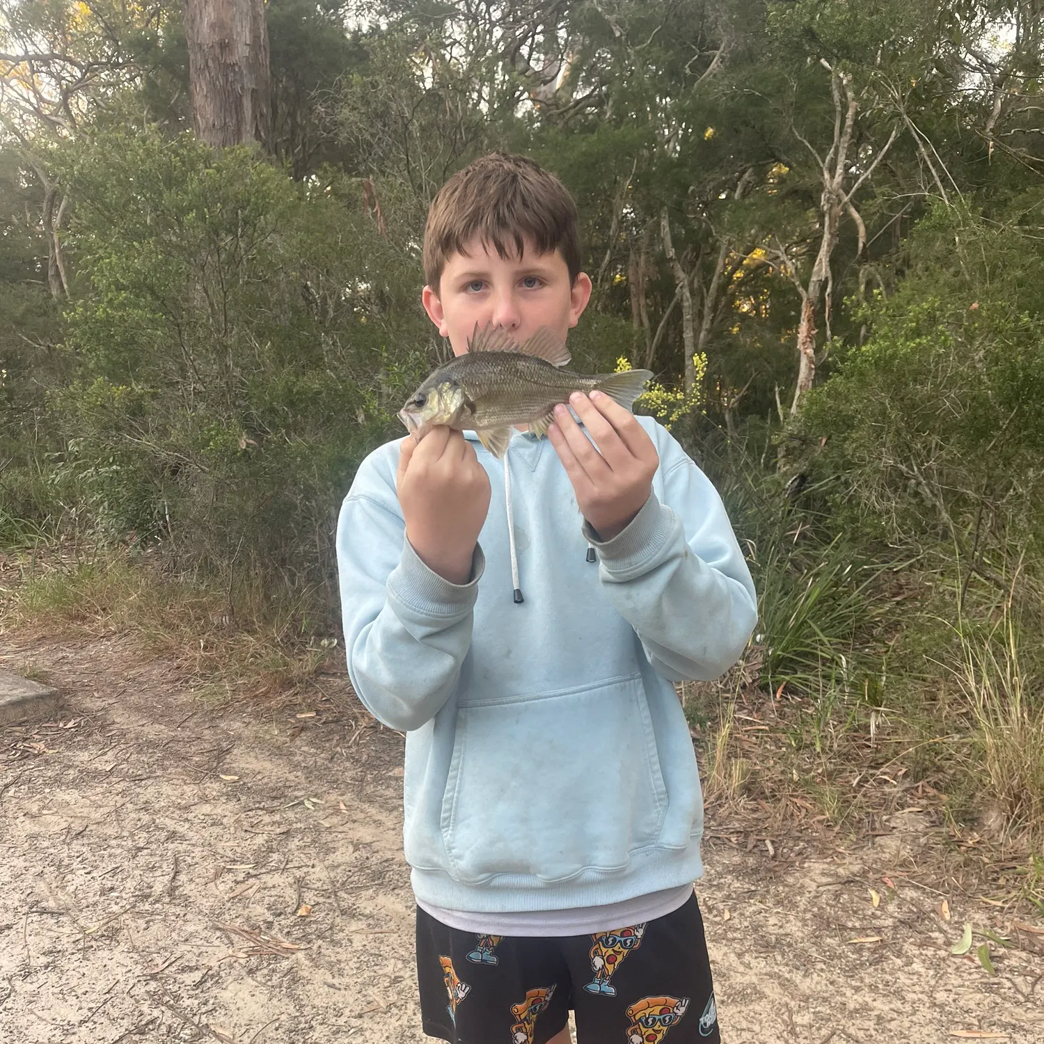 Australian bass caught on Fishbrain