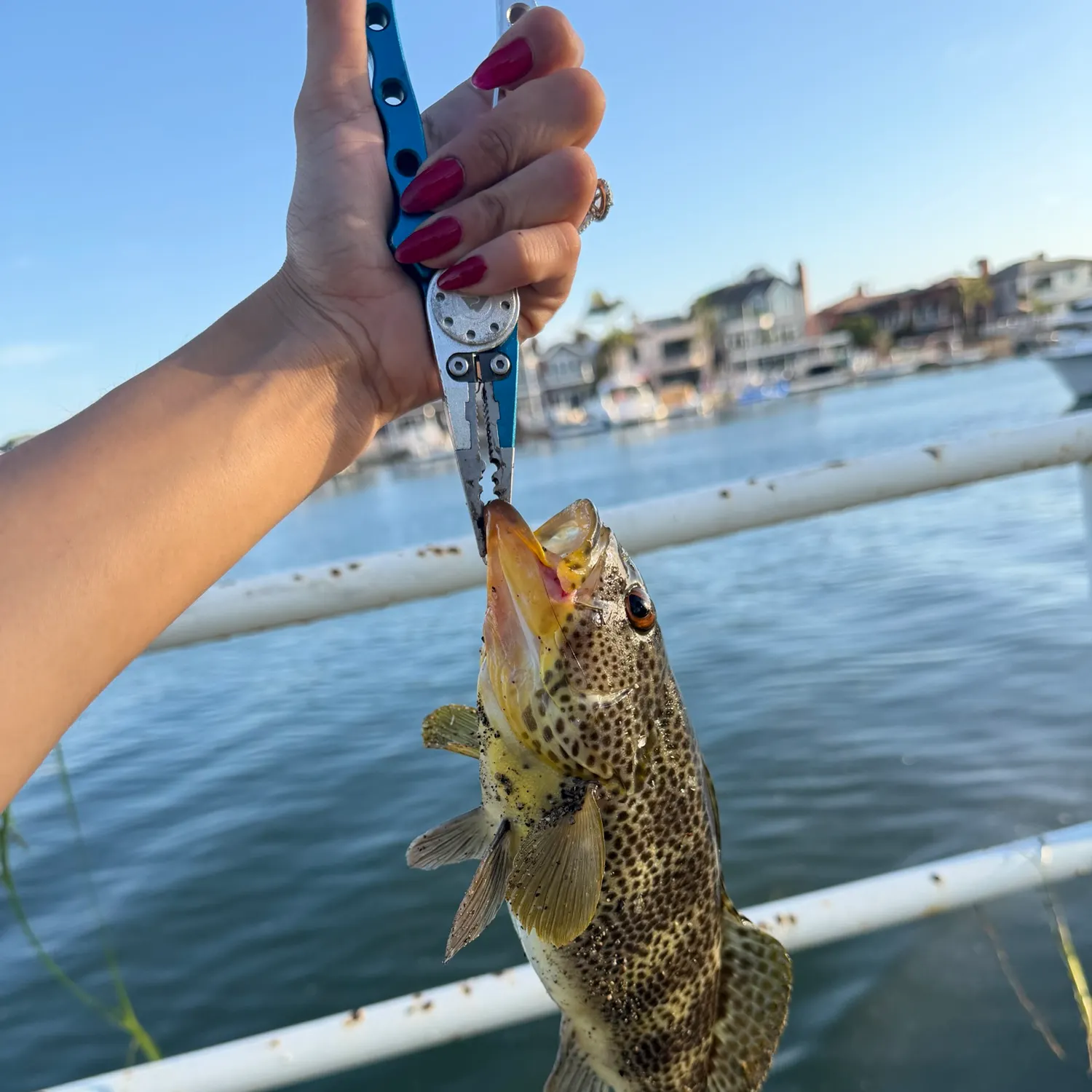 catch