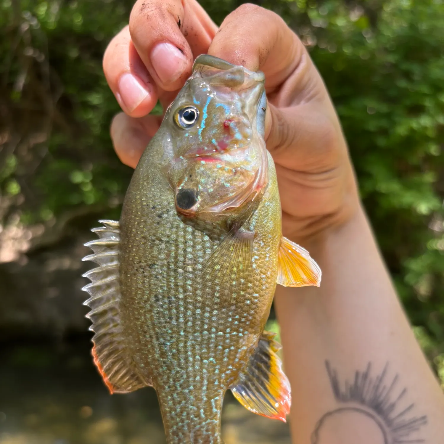 catch