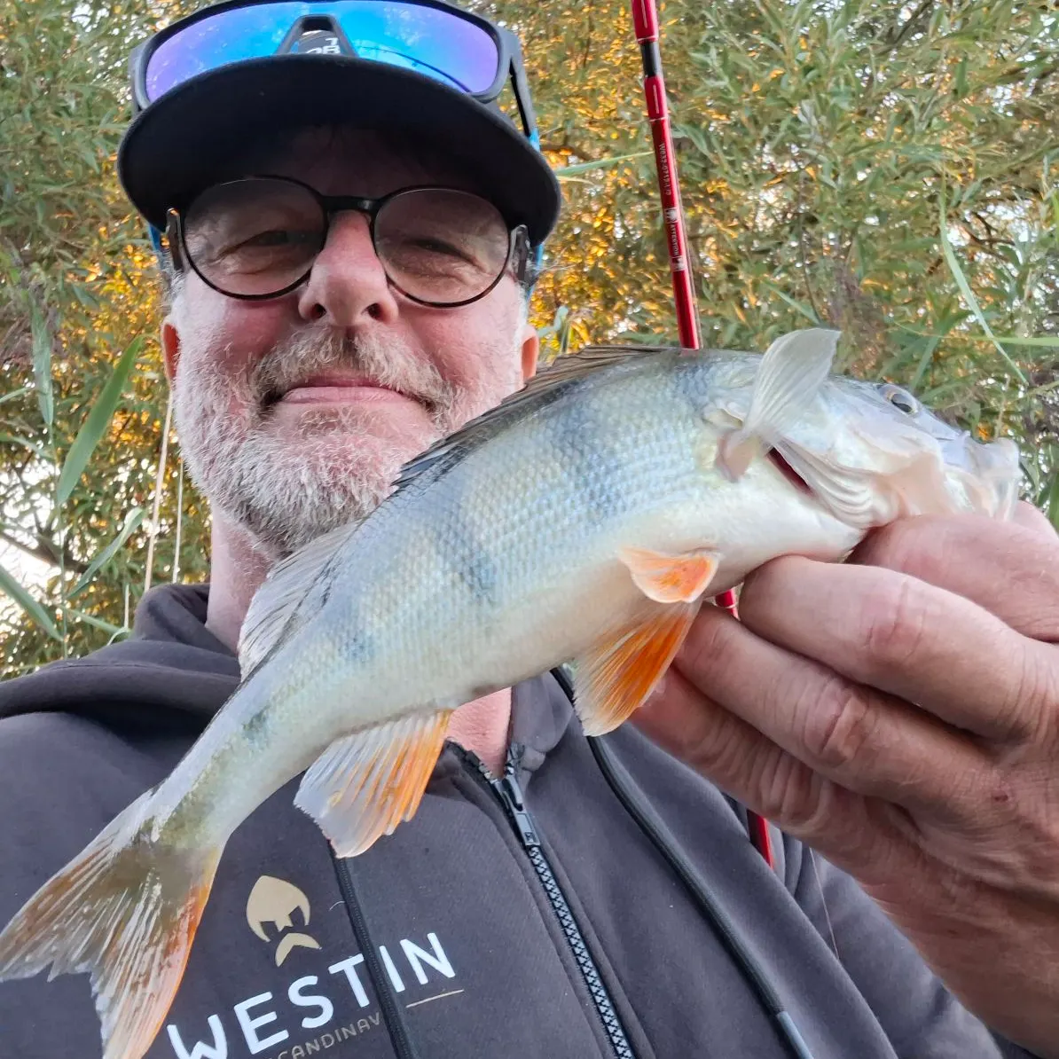 The most recent White trevally catches on Fishbrain