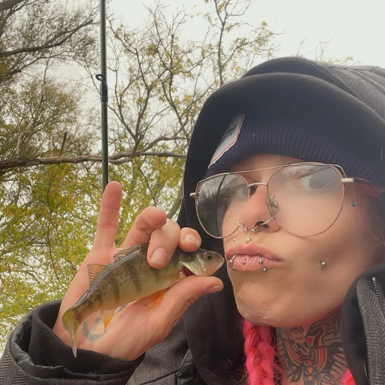 European perch caught on Fishbrain