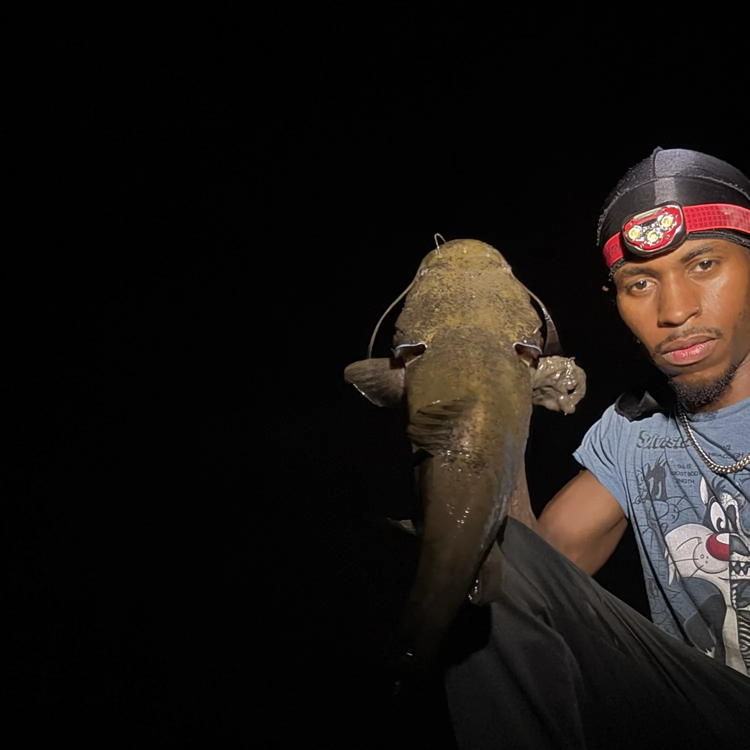 The most recent Flathead catfish catches on Fishbrain