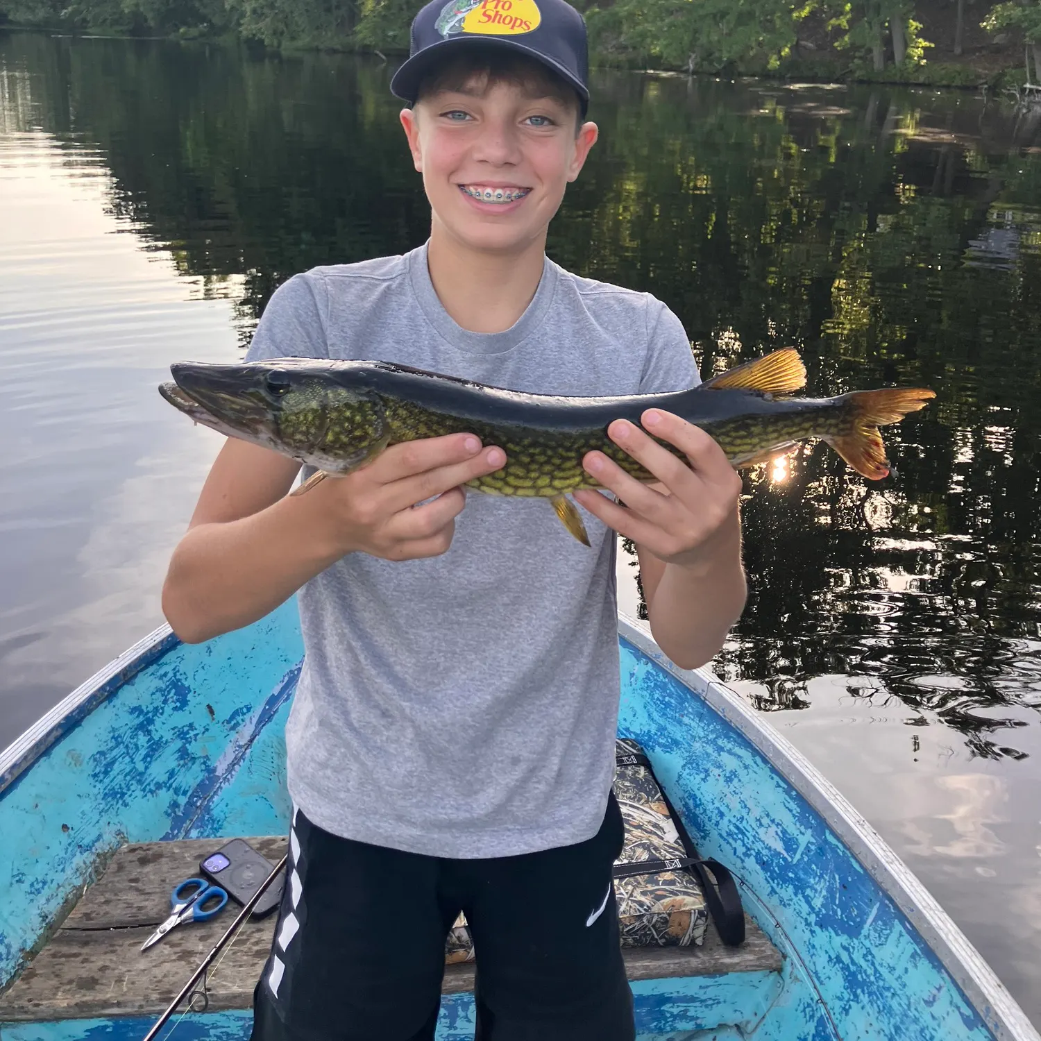 Chain pickerel caught on Fishbrain