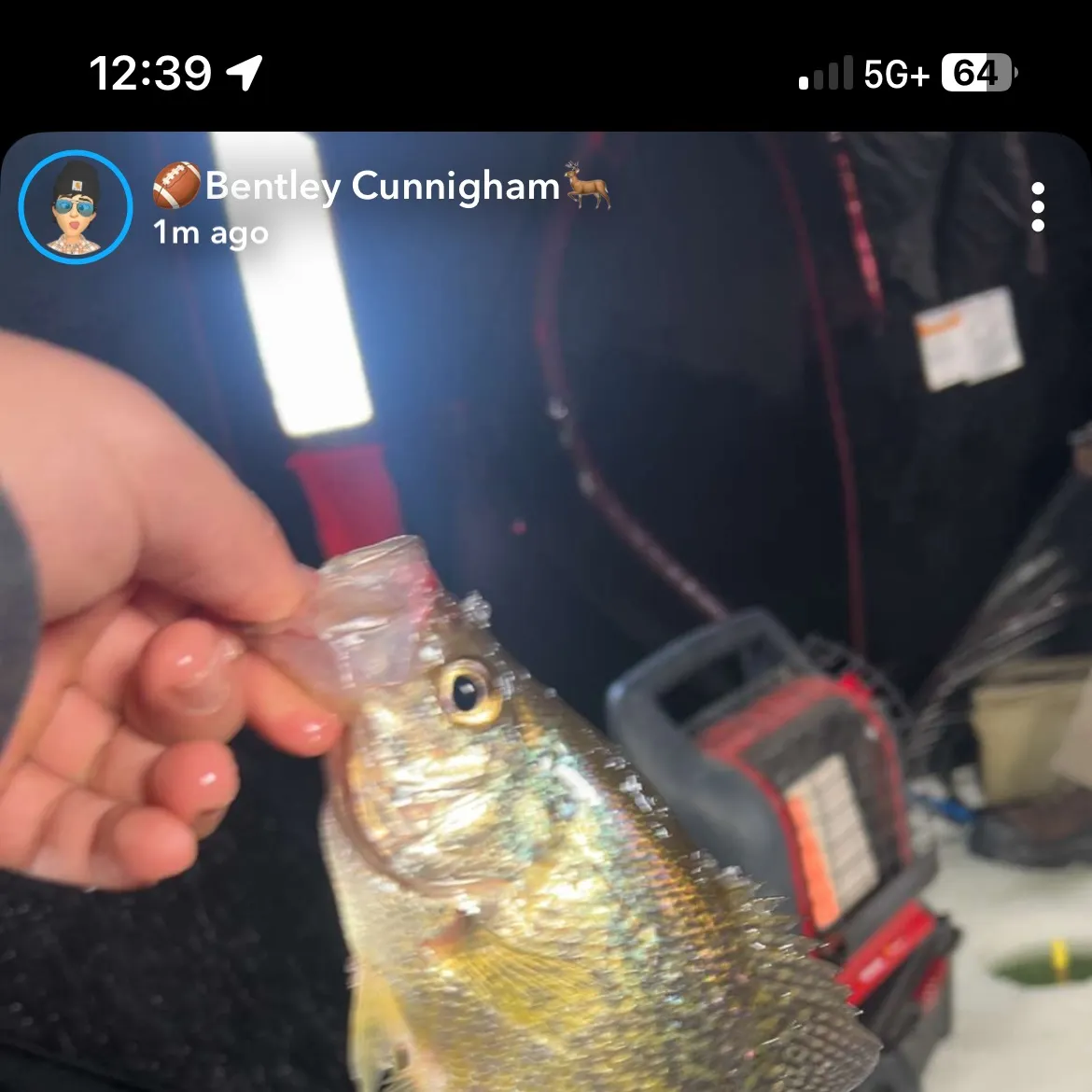 recently logged catches