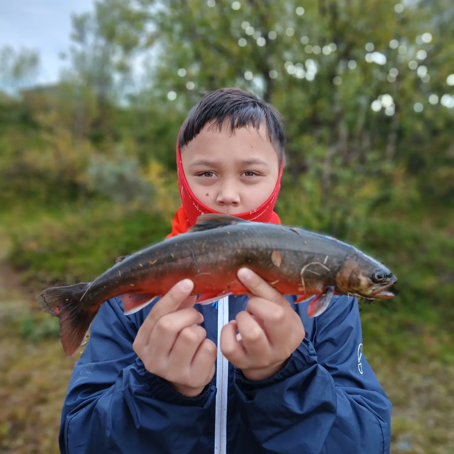Arctic char caught on Fishbrain