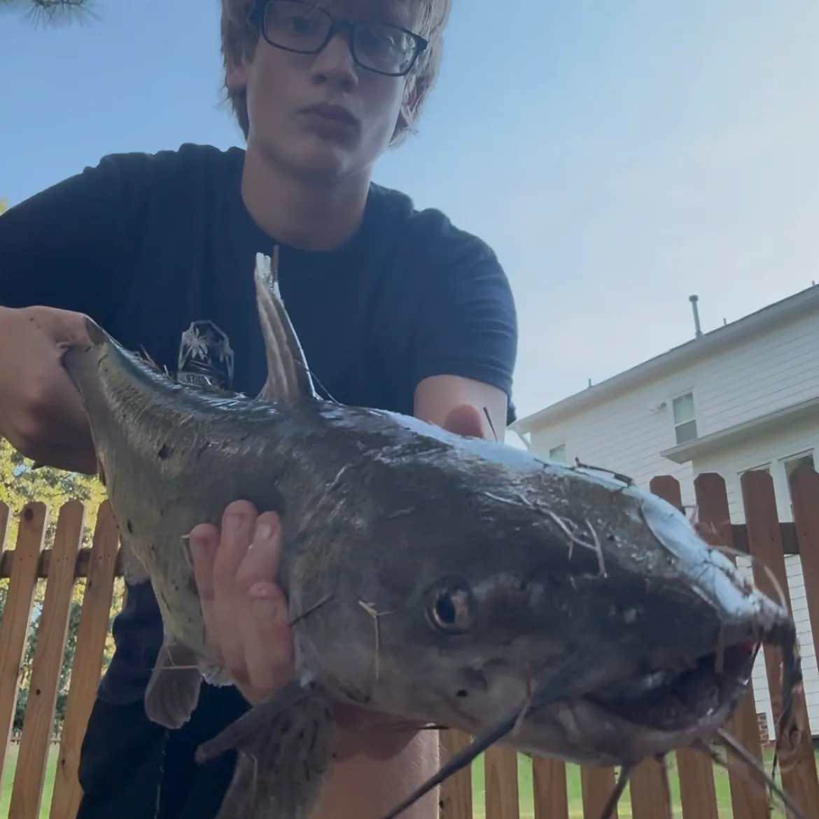 Channel catfish caught on Fishbrain
