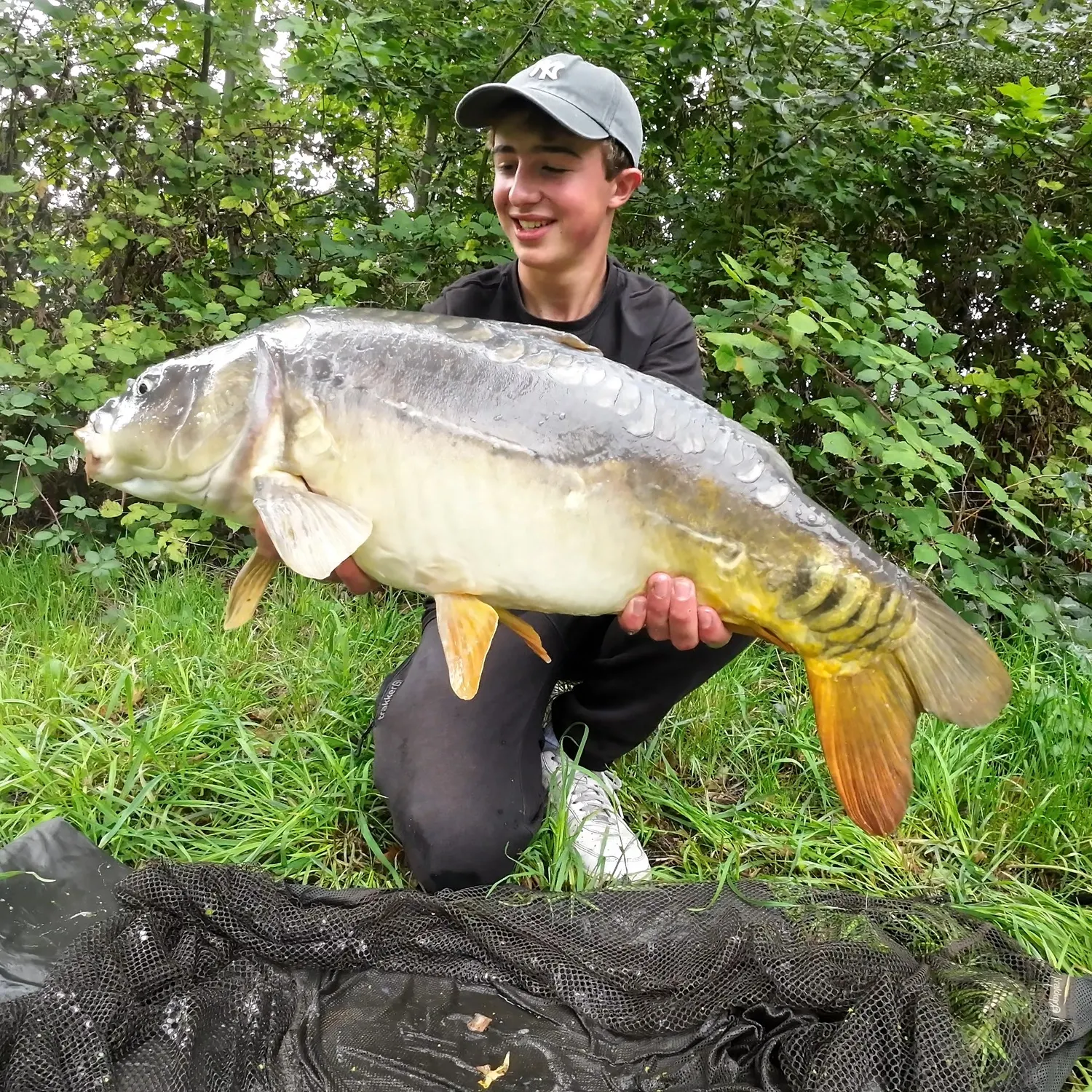 Mirror carp caught on Fishbrain