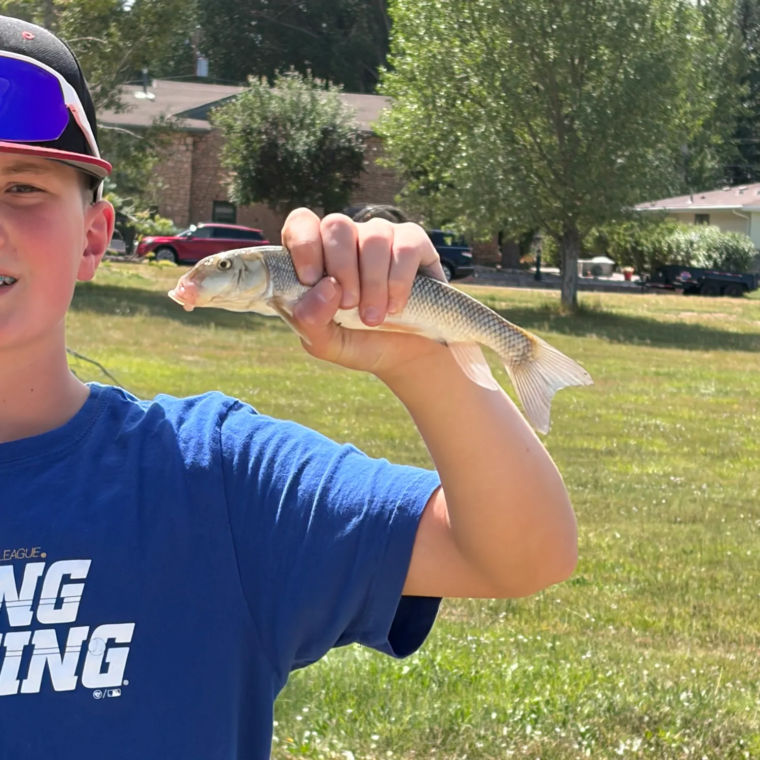 White sucker caught on Fishbrain