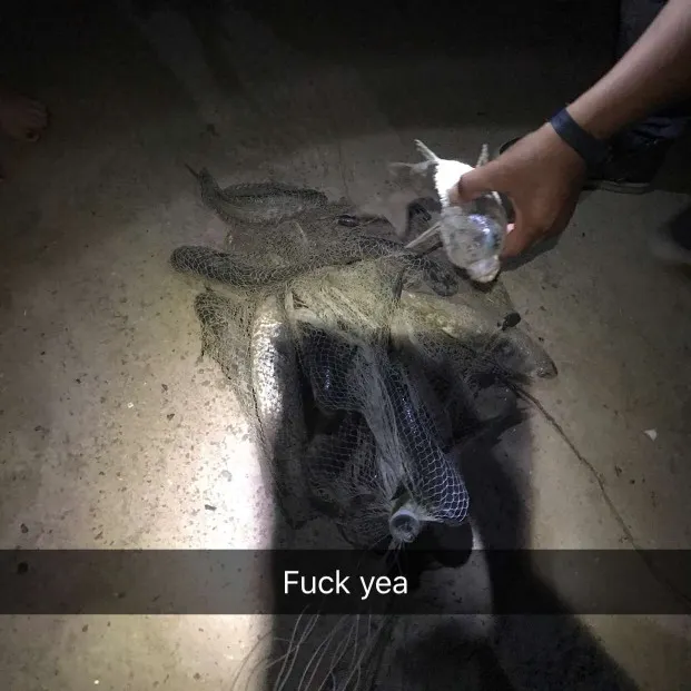 recently logged catches