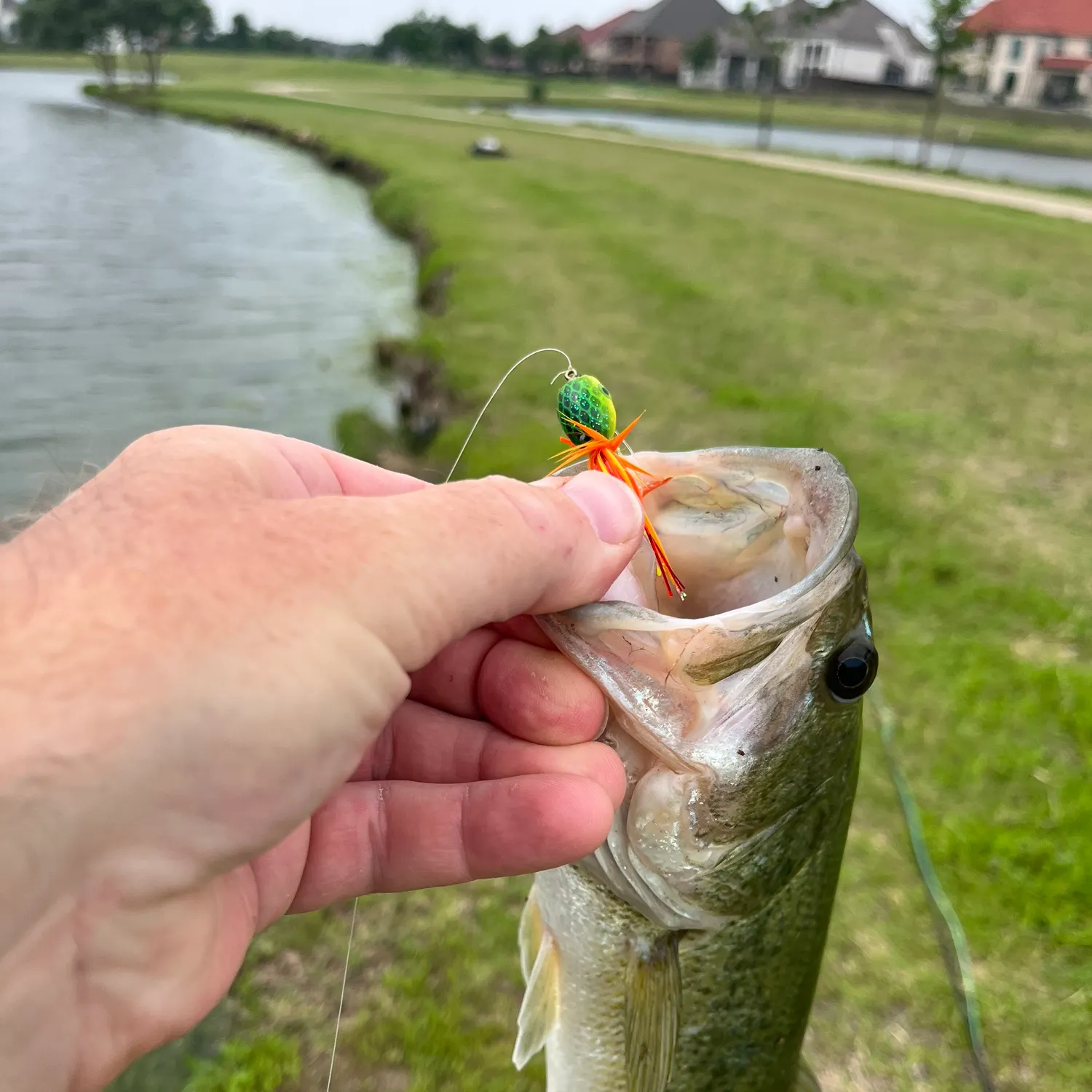 angler catch