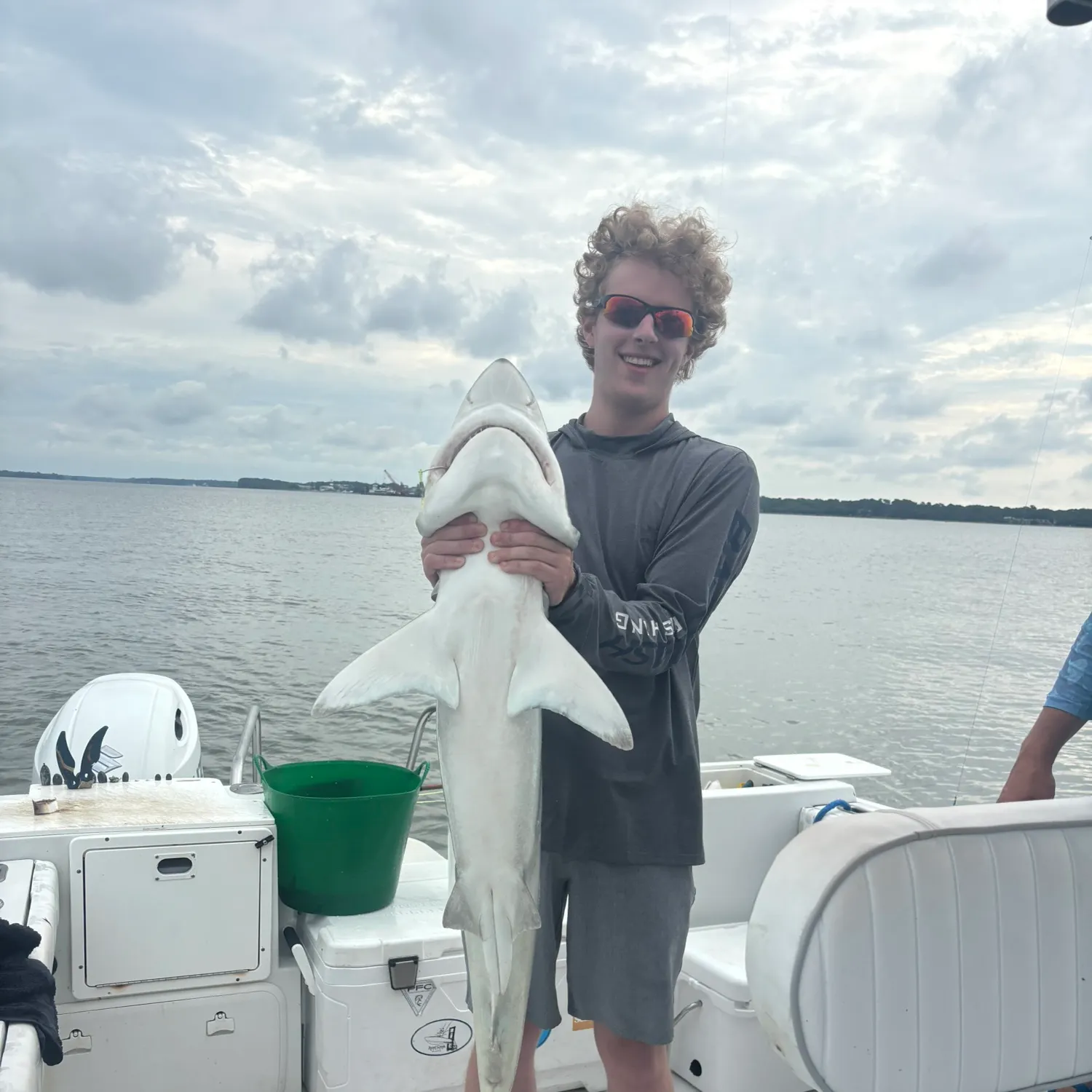 The most recent Finetooth shark catches on Fishbrain