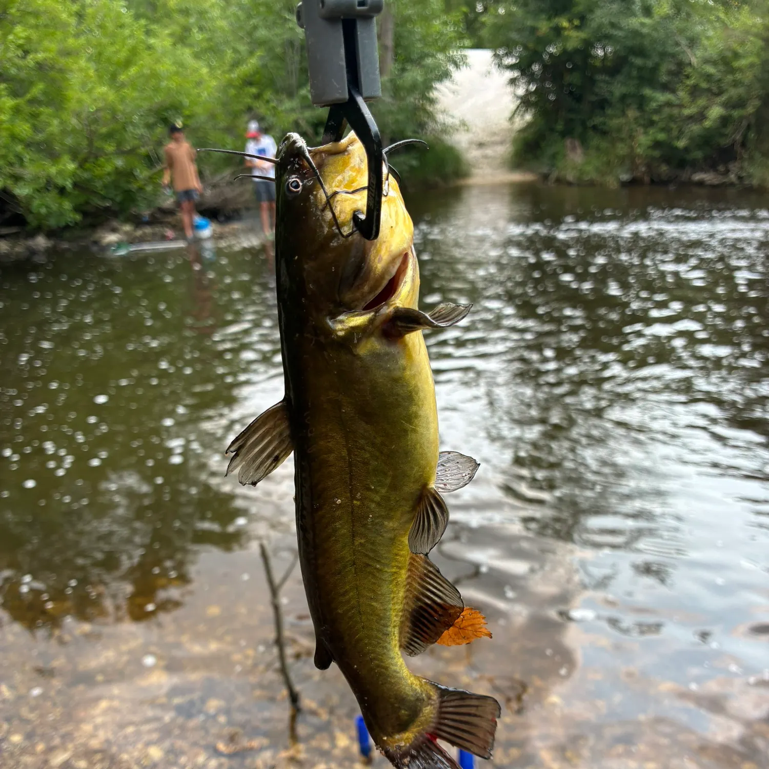catch