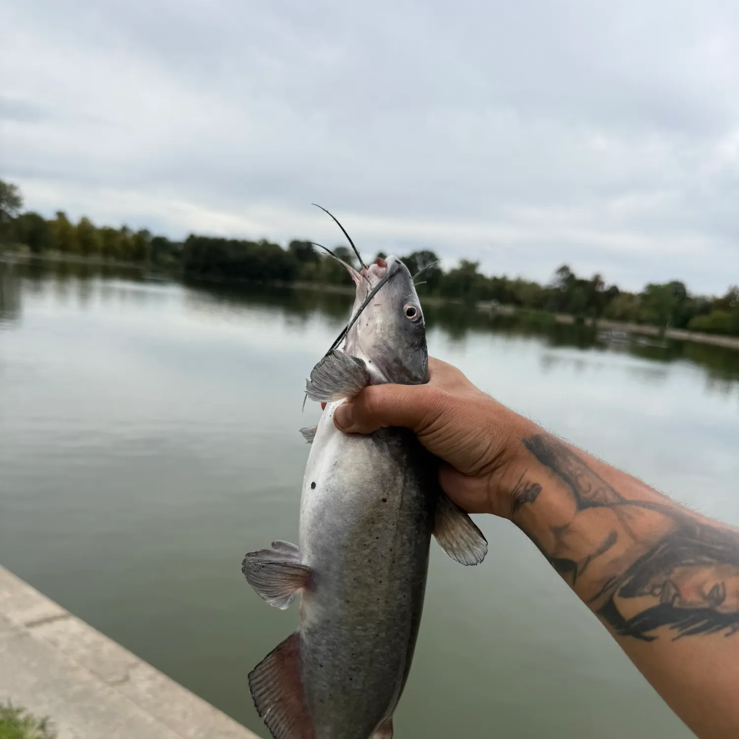 catch