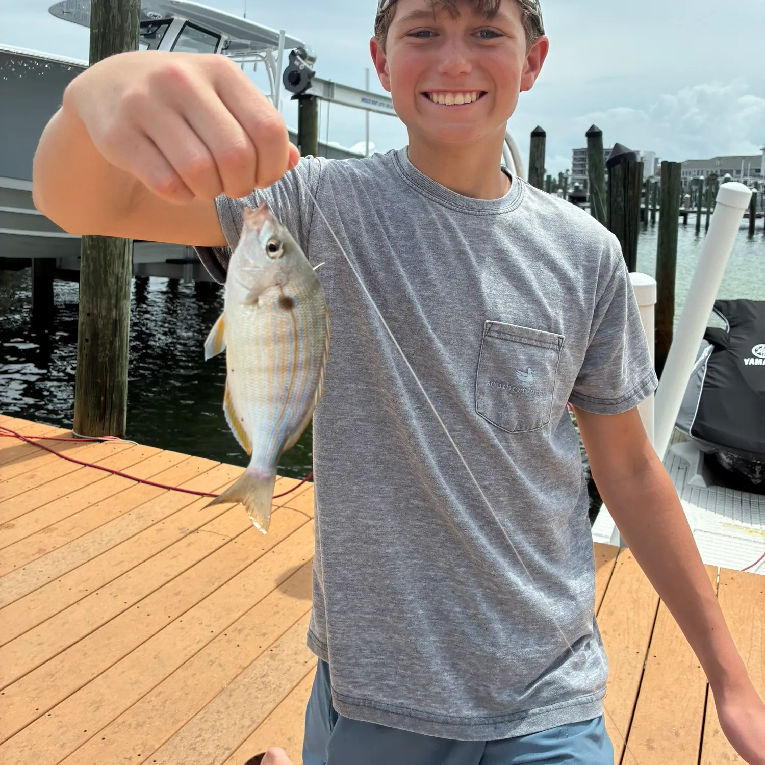 The most recent Pinfish catches on Fishbrain