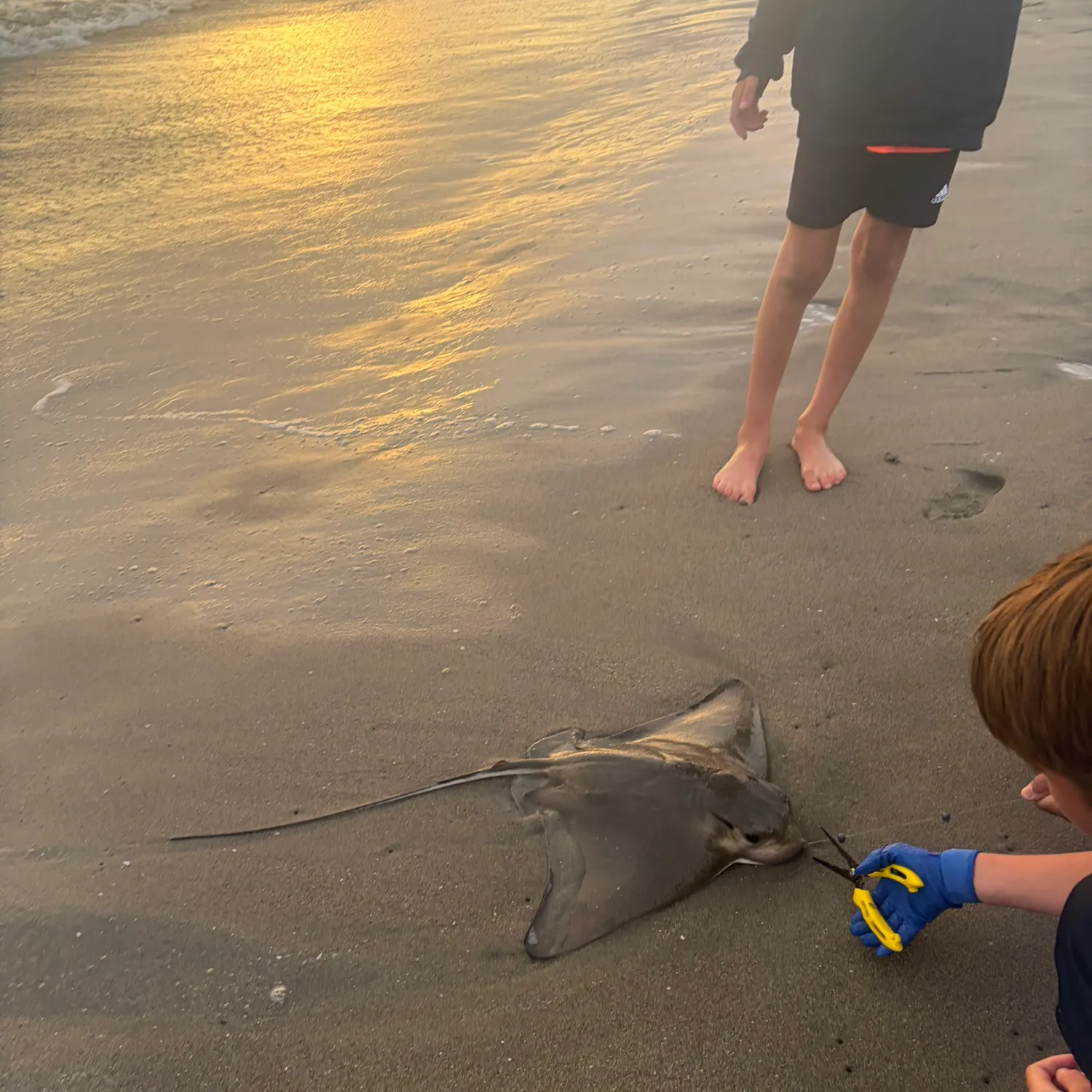 catch