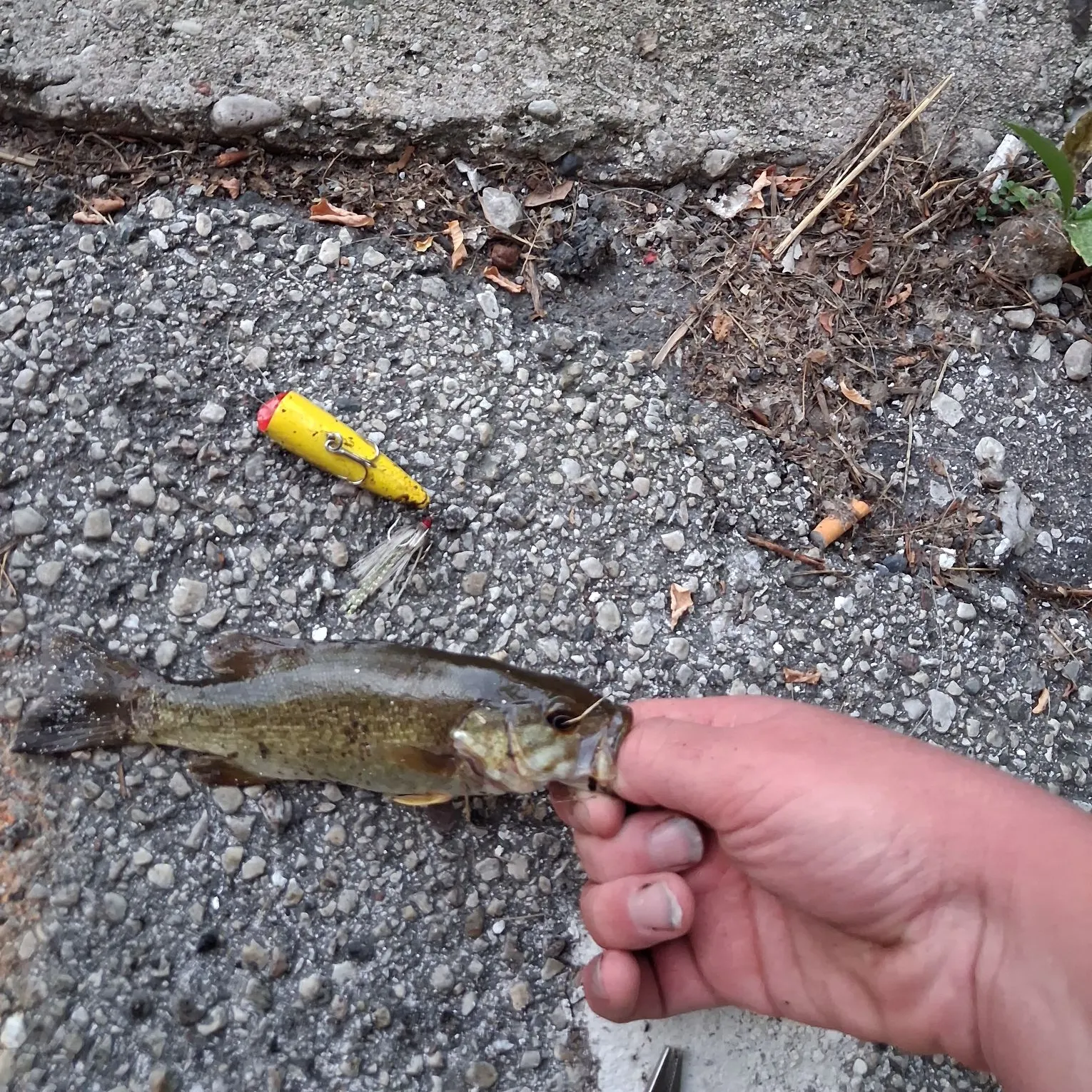 catch