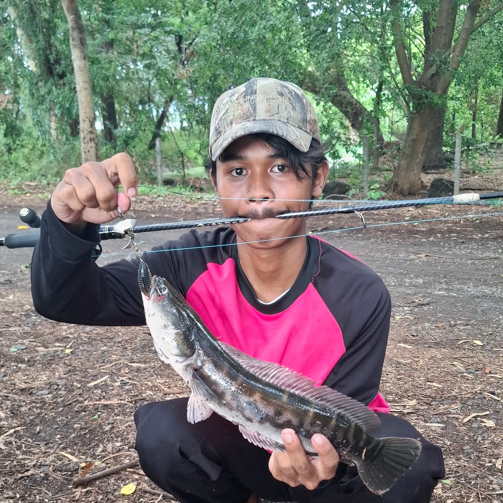 The most recent Indonesian snakehead catches on Fishbrain